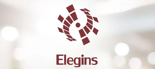 Elegins LLC