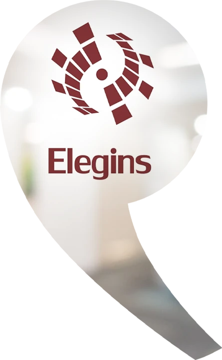 Elegins LLC