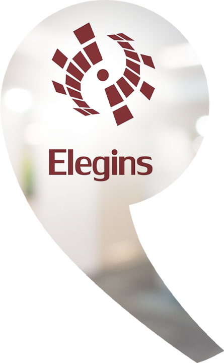 Elegins LLC